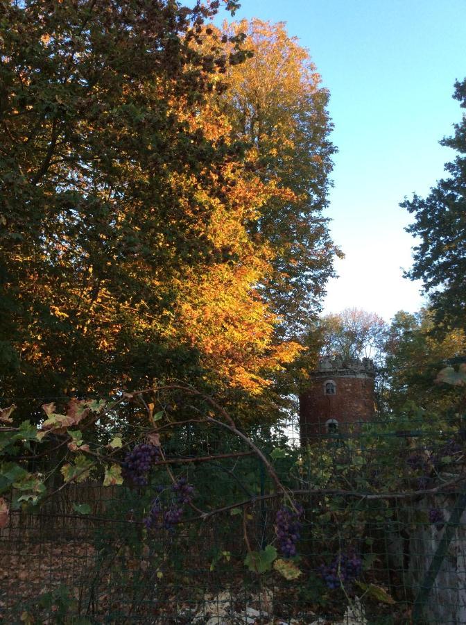 L'Orme Des Voyageurs Bed & Breakfast Boutigny Dış mekan fotoğraf
